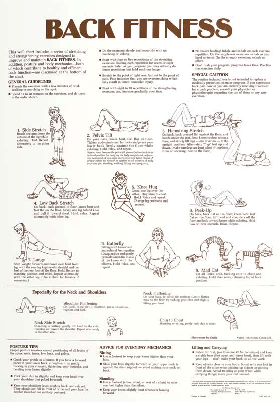 Back Fitness